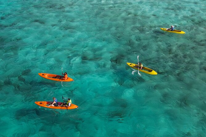 Sea Glass Island and Clear Kayak Adventure - Key highlights at a glance