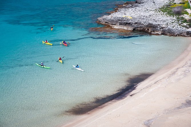 Sea Kayak in Kardamili - Price and value: is $106.08 fair for 4.5 hours on the water?