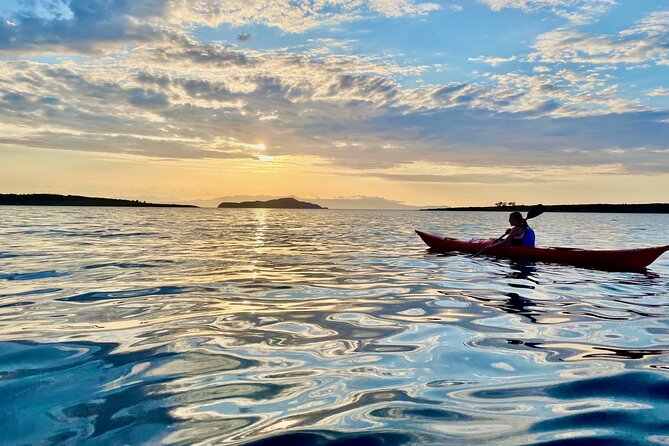 Sea Kayak Tour of Chania’s Old Venetian Port - Photos, Pace, and Why Small-Group Matters