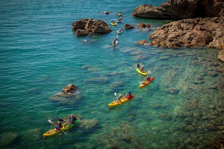 Sea kayak tour: Sète, the French pearl of the Mediterranean - Wildlife Viewing and Marine Life Time: What to Watch For