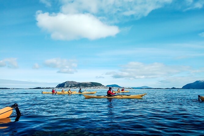 Sea Kayaking In Ålesund - Key Highlights You’ll Feel Right Away