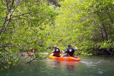 Sea Kayaking in Ao Thalane & Optional Full-Day Hong Island - Getting on the water: transfers, timing, and what “4–8 hours” really means