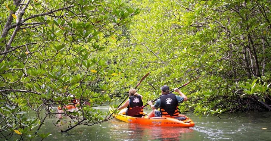 Sea Kayaking in Ao Thalane & Optional Full-Day Hong Island - Laem Jamoog Kway: sunset BBQ, natural spring shower, and longtail boat return