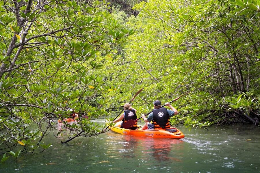 Sea Kayaking in Ao Thalane & Optional Full-Day Hong Island - Getting on the water: transfers, timing, and what “4–8 hours” really means