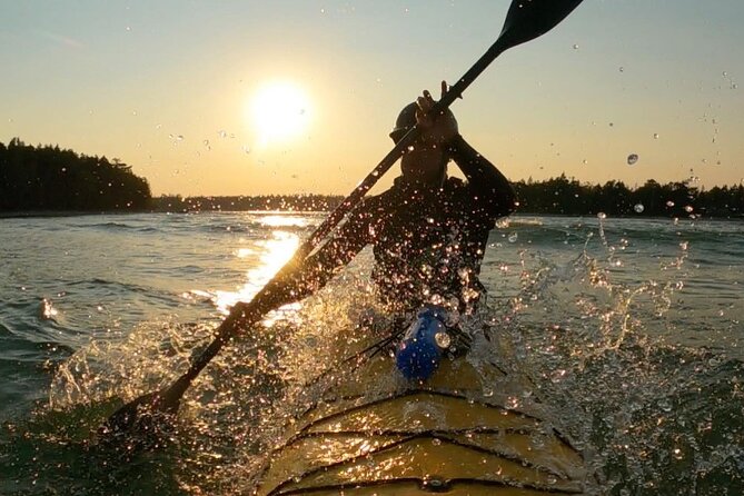 Sea Kayaking in Door County, Wisconsin - Stop 4: Door Bluff Headland’s County Park and Door County’s Tallest Bluff