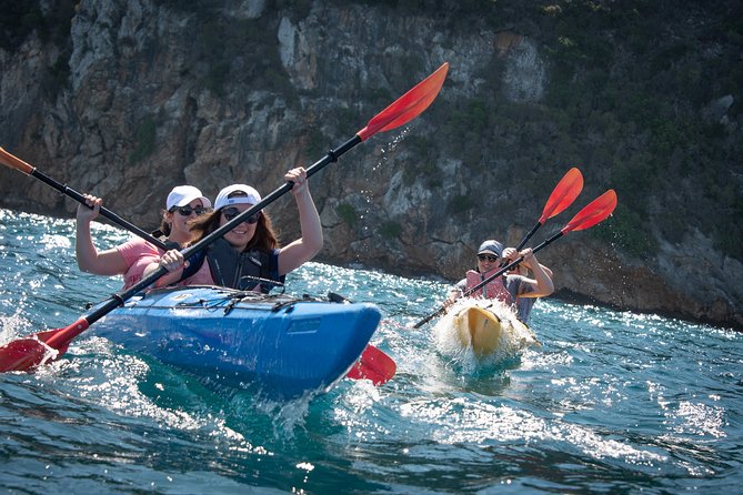 Sea Kayaking in Navarino Bay - Key Highlights Worth Marking on Your Map