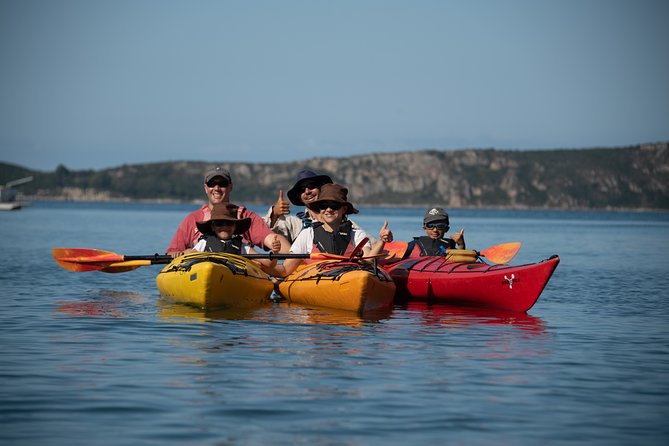 Sea Kayaking in Navarino Bay - Picnic With Homemade Olive Oil: The Food Part That Actually Matters