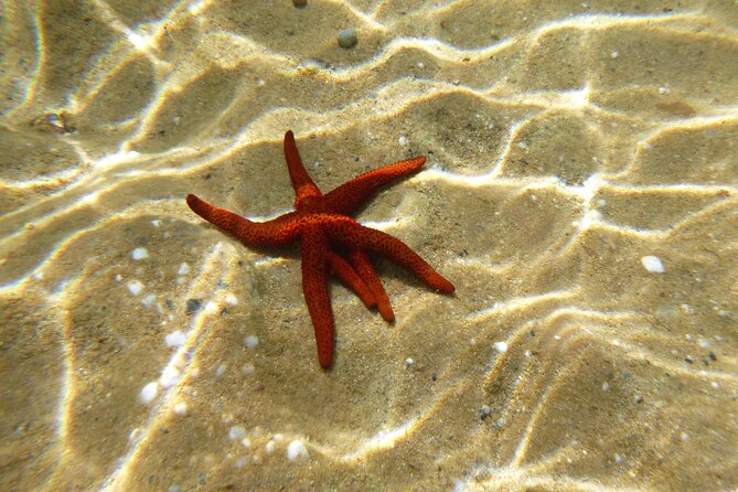 Sea kayaking Mykonos natural beauty beaches - Meeting point and the first steps: learning without the pressure