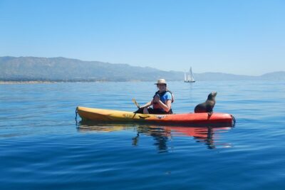 Sea Lion Kayak Tour - Santa Barbara Harbor - Paddle Sports Center Check-In: Easy Start by the Harbor