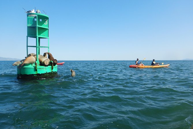 Sea Lion Kayak Tour - Santa Barbara Harbor - Meet the Guides: Friendly Instruction for Beginners and Families