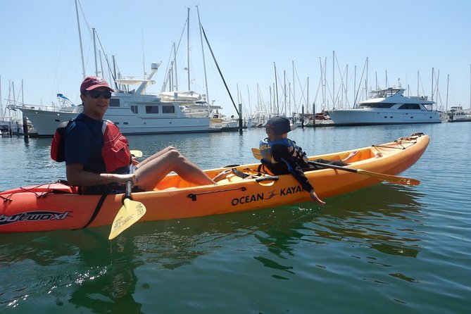 Sea Lion Kayak Tour - Santa Barbara Harbor - Who This Tour Fits Best (and Who Might Think Twice)