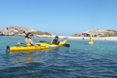 Seal Island and Penguin Island or Point Peron Sea Kayak Tour - Your day on the water: a clear run from paddling to free time