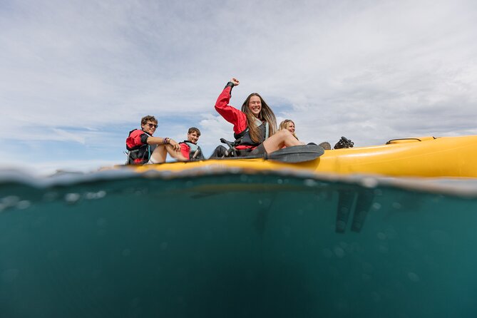 Seal Kayaking Adventure in Kaikoura - Sunset vs Seal-Spotting: Picking the Right Kaikoura Session