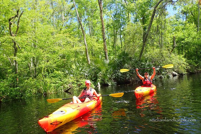 Self Guided Family Friendly Kayak Rental Experience Old Florida - Key takeaways before you go