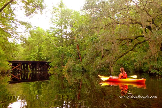Self Guided Family Friendly Kayak Rental Experience Old Florida - Old Florida Kayaking in Yulee: What Makes This Creek Trip Special