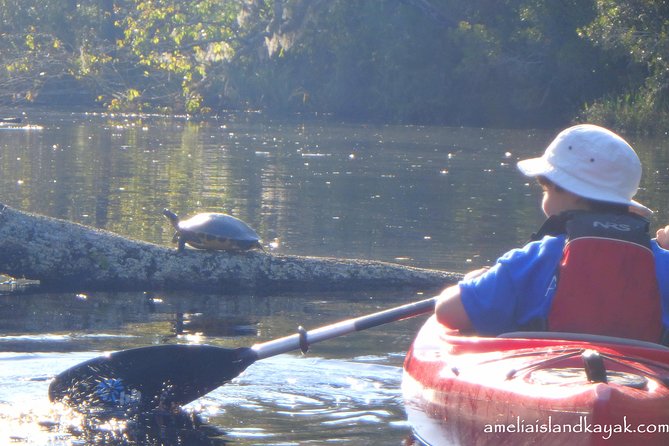Self Guided Family Friendly Kayak Rental Experience Old Florida - Paddling the Shady Creek: Wildlife, Cypress, and Reflective Water