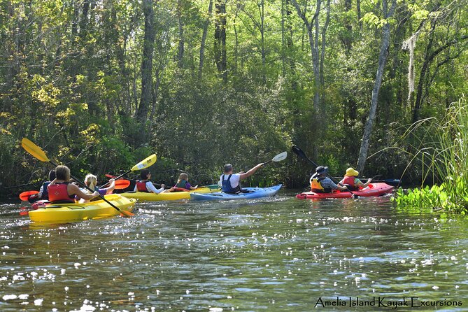 Self Guided Family Friendly Kayak Rental Experience Old Florida - Pricing and Value: Is $48.15 Worth It?