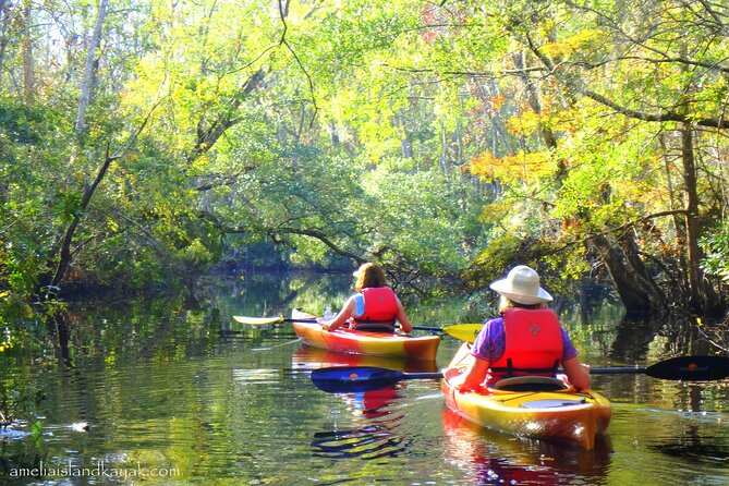 Self Guided Family Friendly Kayak Rental Experience Old Florida - Meeting Point in Yulee: Simple Start, Clear End
