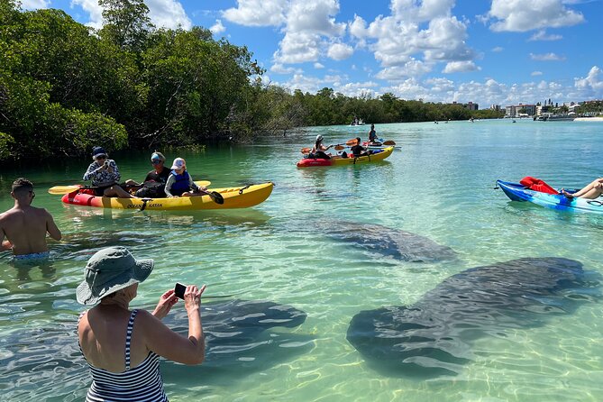 Self-Guided Island Tour: CLEAR/Standard Kayak, SUP-Bonita Springs - From Naples to Big Hickory Island: what your 2-hour outing really feels like