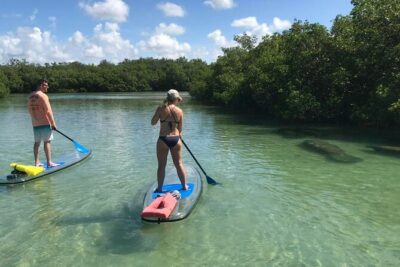 Self-Guided Island Tour: CLEAR/Standard Kayak, SUP-Bonita Springs - Your route through Estero Bay: mangrove tunnels, sandbars, and shell collecting