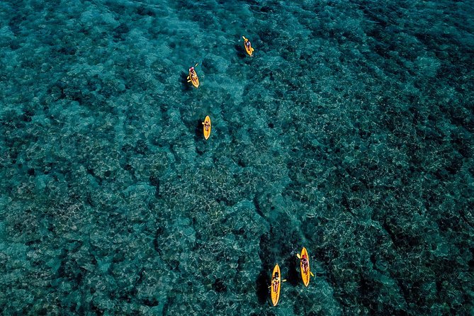 Self-Guided Kayaking Discovery in Kailua, Oahu - What you’re actually getting: kayak, snorkel, dry bag, bikes, and beach toys