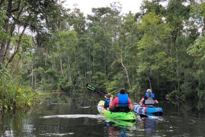 Self-Guided Kayaking: Real Florida Adventure - Key Highlights You’ll Actually Feel on the Water