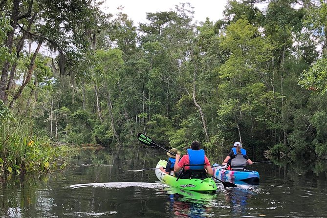 Self-Guided Kayaking: Real Florida Adventure - Key Highlights You’ll Actually Feel on the Water