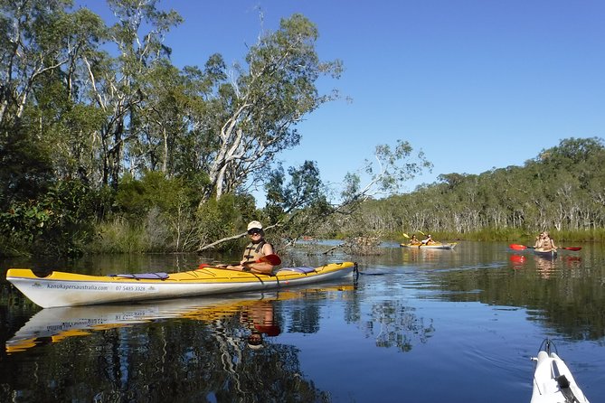 Self-Guided Noosa Everglades Kayak Tour - Key takeaways before you paddle