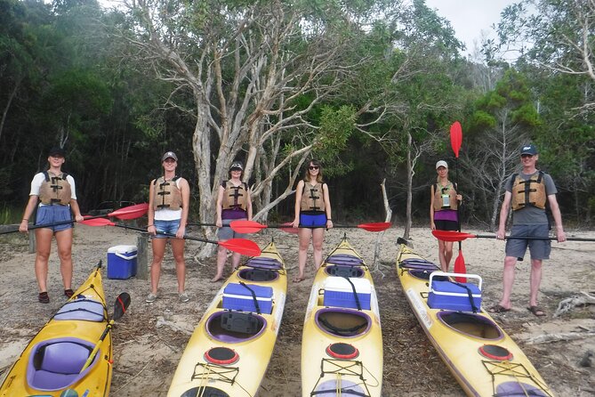 Self-Guided Noosa Everglades Kayak Tour - Harry’s Hut swim: the iconic tea-colored-water goal