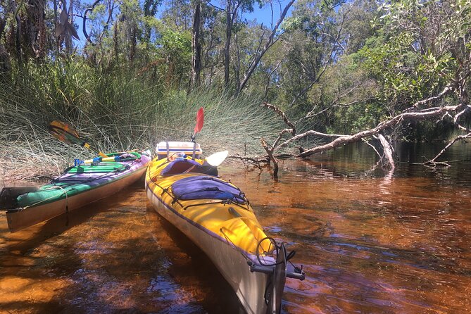 Self-Guided Noosa Everglades Kayak Tour - Price and value: what you’re really paying for at $86.79