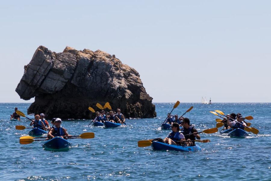 Sesimbra: Arrabida Natural Park & Caves Guided Kayaking Tour - Price and value: why $41 includes more than just the kayak