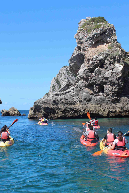 Sesimbra: Ribeiro Cavalo Beach, Caves, & Arrábida Kayak Tour - Timing matters: fog in the morning, wind in the afternoon