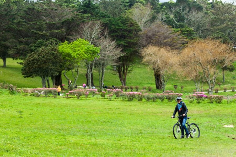 Sete Cidades: Kayaking and Biking Adventure - Kayaking on Lagoa das Sete Cidades: from calm paddling to wind reality