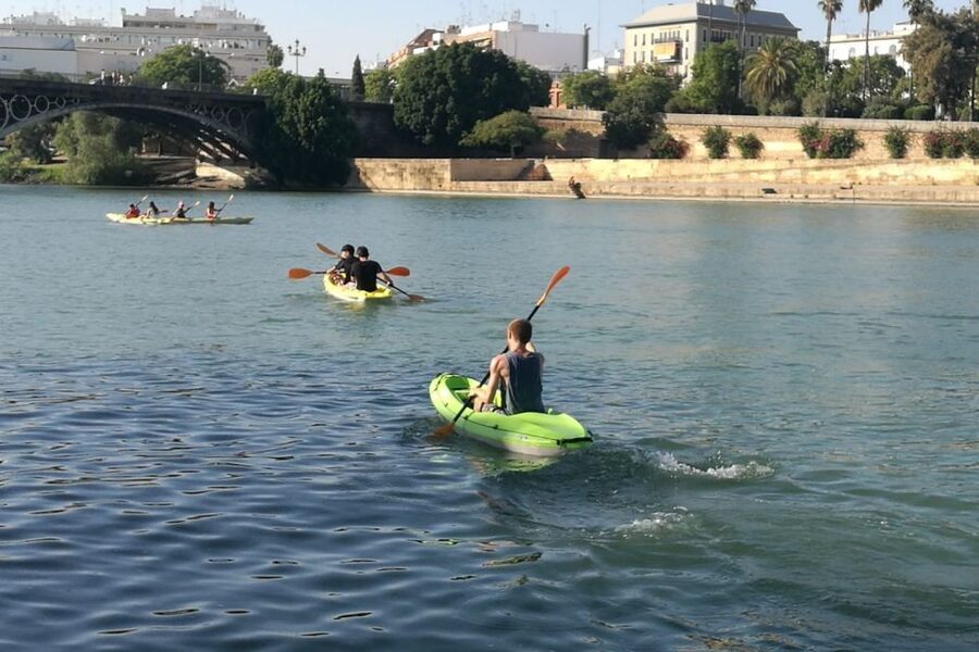 Seville: 2–Hour Guadalquivir River Kayaking Tour - Price value: why $46 can make sense for Seville
