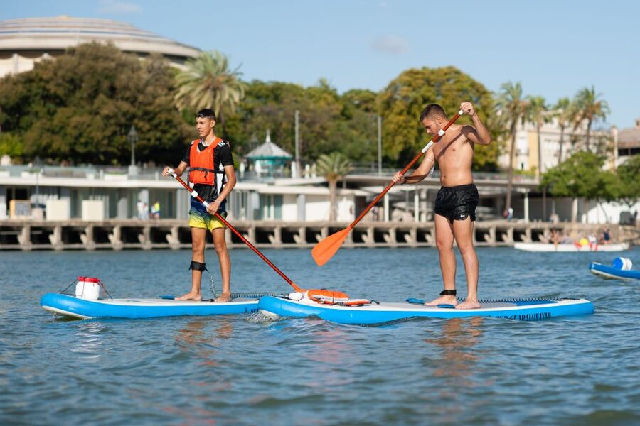 Seville: Stand Up Paddle Board Rental - The Guadalquivir Route: Torre del Oro and Bridge Passes