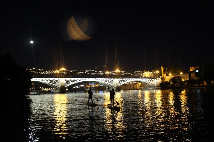Seville: Sunset and Evening Paddle Boarding Tour - Price and value: what you’re really paying for at about $53