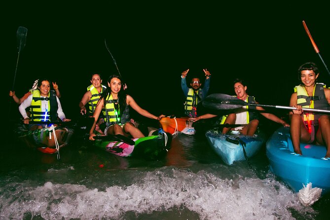 Shared Bioluminescence kayak tour in Holbox - The Holbox Night Kayak: What makes it special