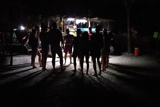 Shared Bioluminescence kayak tour in Holbox - Price and logistics: $58.90 is fair only if you know what you’re buying