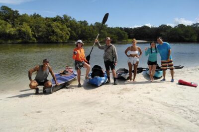 Shared mangroves kayak tour in Holbox - Wildlife you can realistically expect: birds first, crocodiles and flamingos as a bonus