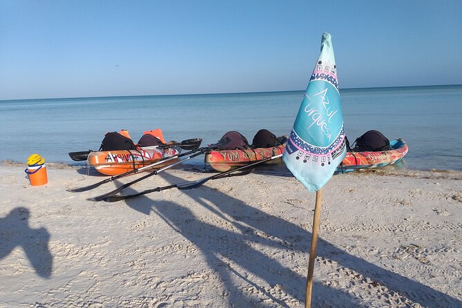 Shared mangroves kayak tour in Holbox - Guides set the tone: small group pacing and environmental respect