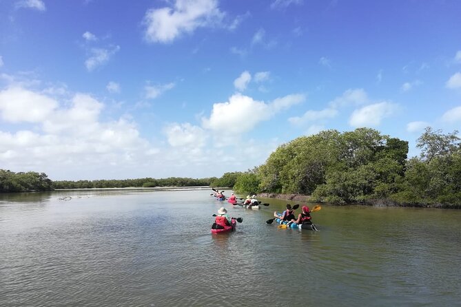 Shared mangroves kayak tour in Holbox - Getting there: Azul Tourquesa Holbox and the round transport