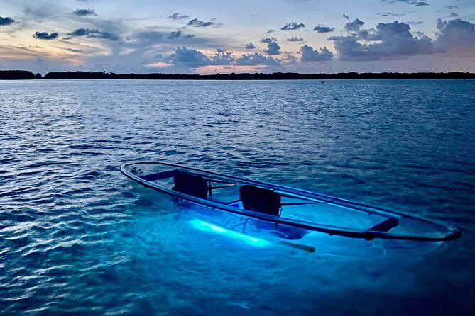 Shell Key Clear Kayak Sunset & Glow Tours - Stop 1 at Shell Key: what the guide is really doing out there