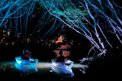 Shell Key Clear Kayak Sunset & Glow Tours - The 90-minute flow: from launch to “look down” mode