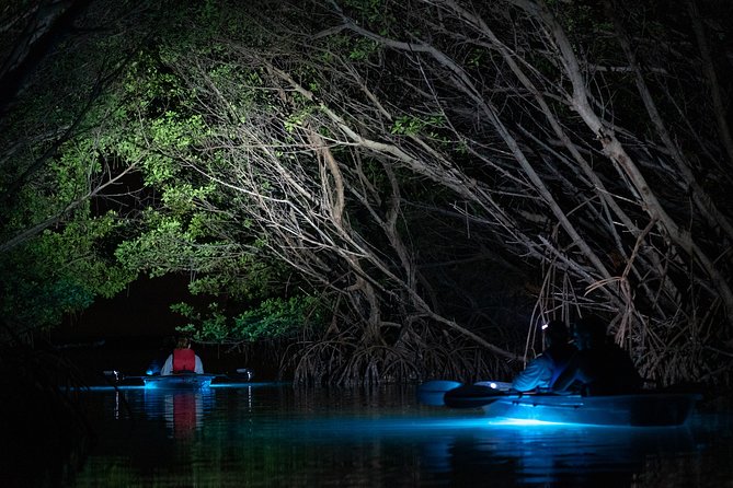 Shell Key Clear Kayak Sunset & Glow Tours - Sunset timing: when you should aim to leave