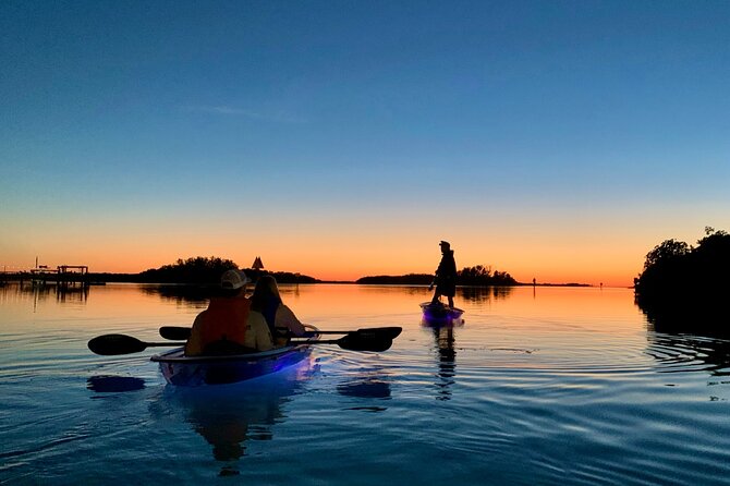 Shell Key Clear Kayak Sunset & Glow Tours - Wildlife spotting goals: what you can realistically expect