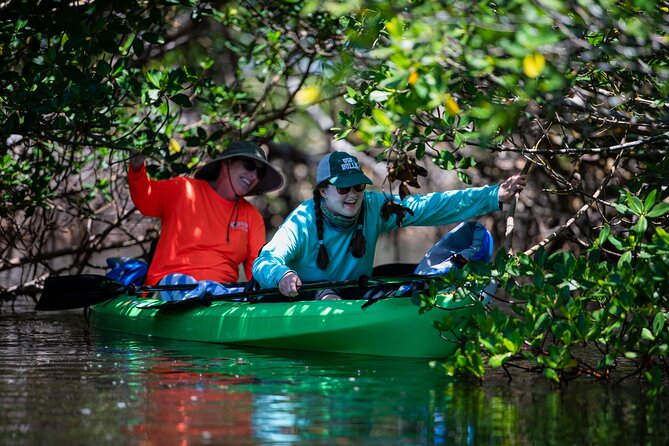 Shell Key Tour with Capt Yak - Mangrove Keys and Sea Grass Beds: The Part You’ll Remember