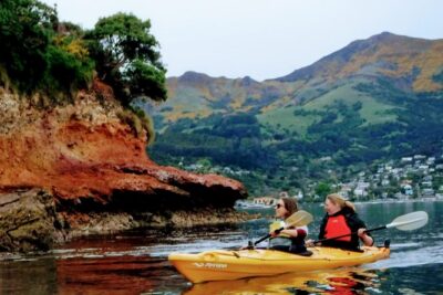 Shore Excursion Guided Sea Kayaking through Akaroa Marine Reserve - The guided paddle: what you’ll do once you launch