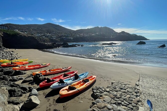 Shore Excursion: La Bufadora Blowhole, Kayak Adventure & Markets - Quick hits before you go