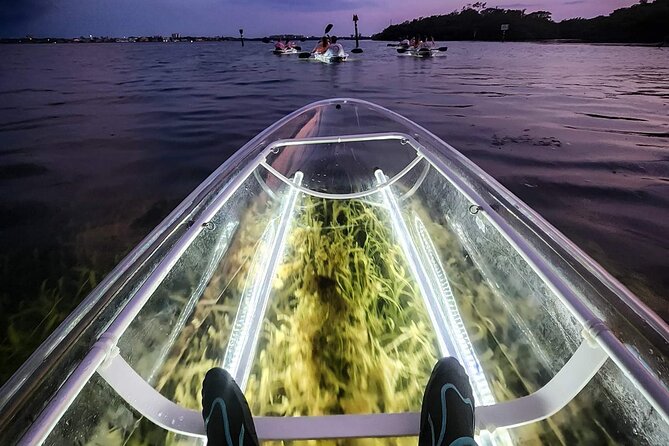 Siesta Key, FL - Clear Kayak LED Night Glass Bottom Tour - The itinerary feel: what you do during those 75 minutes