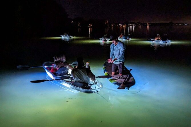 Siesta Key, FL - Clear Kayak LED Night Glass Bottom Tour - Safety and comfort: tandem kayaks, wet seats, and guides who manage the vibe